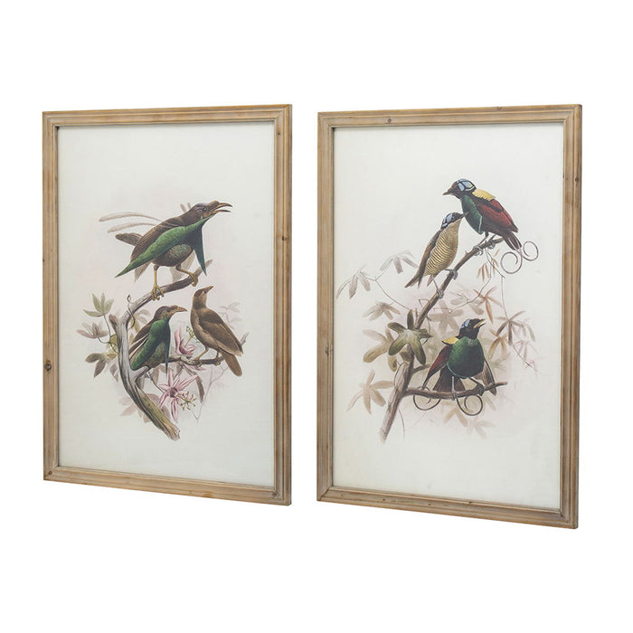 Bird Framed Print (Set of 2) - Multicolor