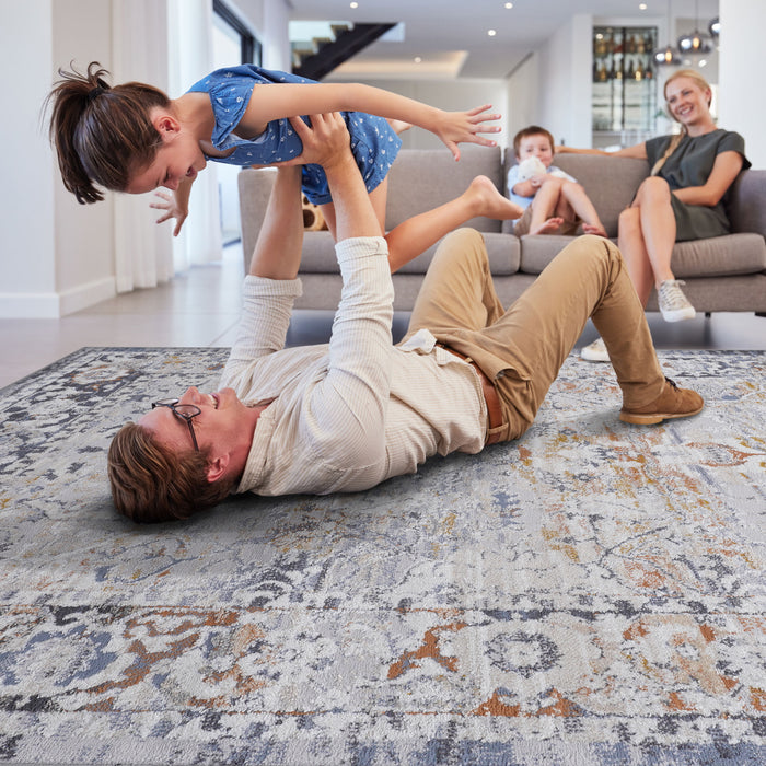 Traditional Non-Shedding Stain Resistant Area Rug