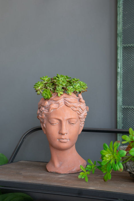 D7X11" Visage Head Bust Planter - Brown